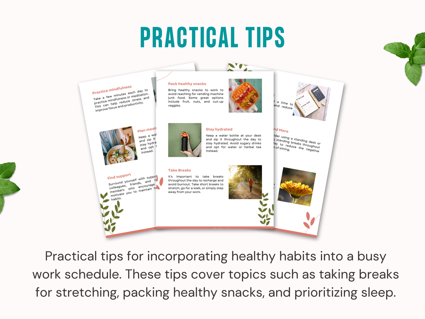 Busy Lives, Healthy Habits: Pre-Made Lead Magnet and Email Templates Jelly Social Lab