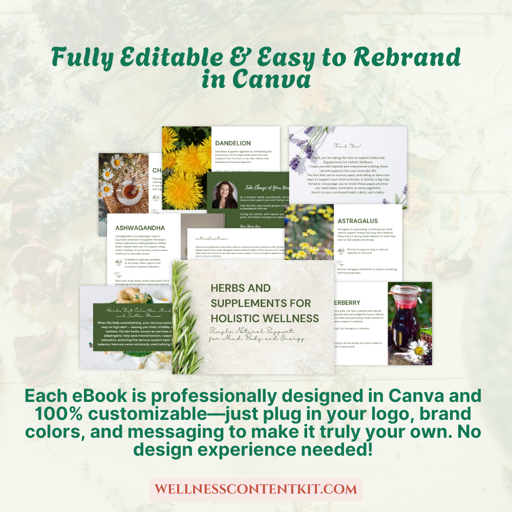 done-for-you health coach content, holistic health eBook template, editable Canva lead magnet, health coach lead magnet, coaching program resources, holistic wellness workbook, wellness coaching handout, self-care guide template, health and wellness digital product, nutrition coach freebies